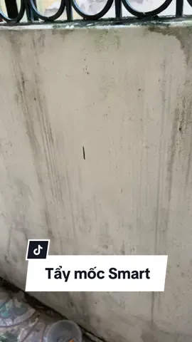 Nhà đang có vết mốc thì tẩy mốc Smart là tín hiệu vũ trụ gửi đến bạnn #mifan #taymocsmart