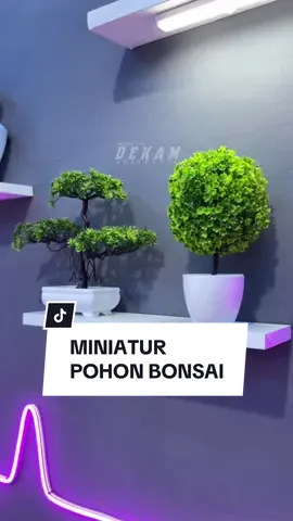 Membalas @Eat Sleep miniatur tanaman pot bonsai #kamaraesthetic #tanamanhias #hiasanpotbonsai #hiasanrumah #hiasandinding #hiasankamar #miniaturpohon #fyp 