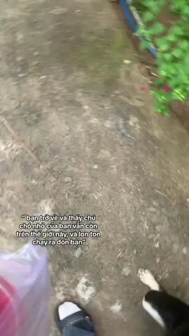 cap in video#xuhuong #xuhuongtiktok #cún #êconmèonè 