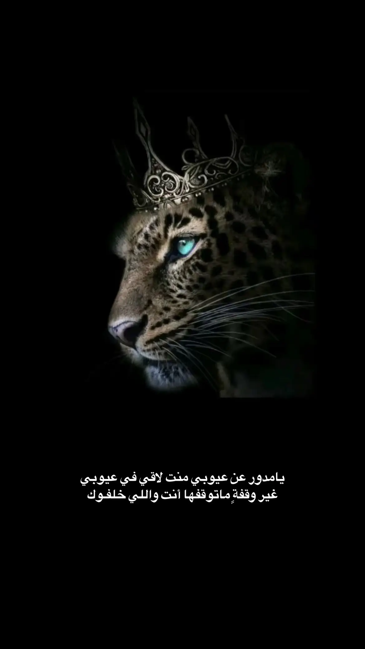 #اكسبلور #fypシ #🐆🖤 