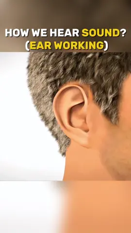 How We Hear Sound ? Medical Animation 3D #howwehear #ear #earworking #soundwave #medicalanimation 