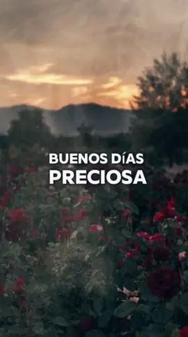 Buenos días princesa #CapCut #fracesdeamor #cosasdeparejas #parejas #romantic #frasesparadedicar #declaraciondeamor #romance 