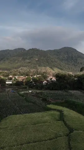 Uhh mantep gini ya ketika sore di desa wisata mekarlaksana. #JelajahLiburan #desa #desawisata #pesonaindonesia #kesenian #wondefullindonesia #edukasi #disbudparkabbdg #alam #fypシ #fypシ゚viral #pedesaan #edukasikopi #tempatngopi #upacaraadat 