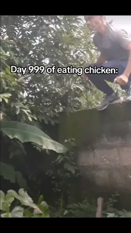 🐓 . . . #foryoupage #fyp #foryourpage #foryou 