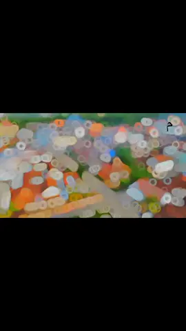 Banowan,Sarang,Rembang #xybca #pesonaindonesia #fypage #foryoupage 