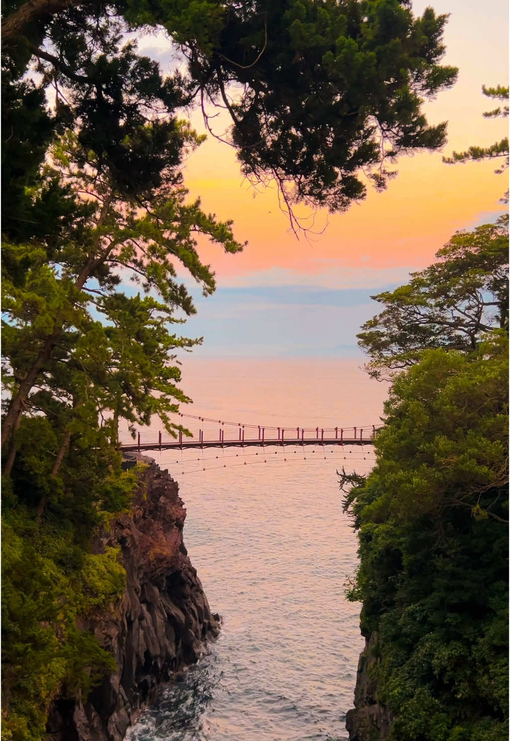 夕暮れ、幻想的な吊り橋の景色。 #城ヶ崎海岸  #伊豆  #静岡  #静岡県  #夕日  #夕暮れ  #海岸  #エモい  #おおかみこどもの雨と雪  #絶景  #絶景スポット  #日本の風景  #日本の絶景  #japantravel  #japantrip 