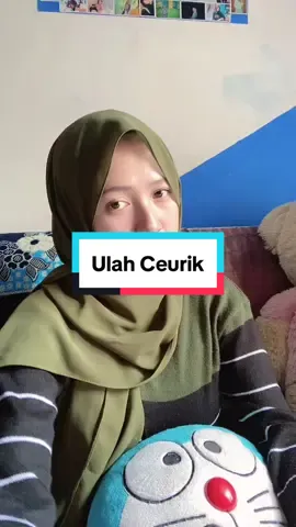 Kali kali nyunda boleh lahh yaa🤏🏻 #mashallah #VoiceEffects #ulahceurik #popsunda #hariringsunda #dettykurnia #fyp #fypシ #branda #tiktok #yuniagustin 