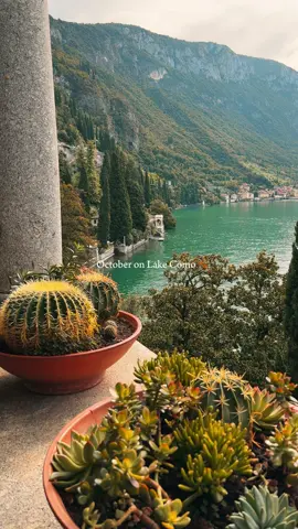 Visiting Lake Como in October is a unique experience. The sky softens with delicate hues, the crisp air wraps around every corner, and the golden reflections of autumn leaves dance on the calm water 🍂. Walking along the lake during this season gives me a feeling of peace and genuine beauty, as if time slows down to be savored moment by moment. The mountains surrounding the lake seem even more majestic, while the villages along the shores glow with a warm and welcoming light. October here has a charm all its own, blending nature and serenity 🍁  #LagodiComo #LakeComo #ComoLake #Italia #Italy 