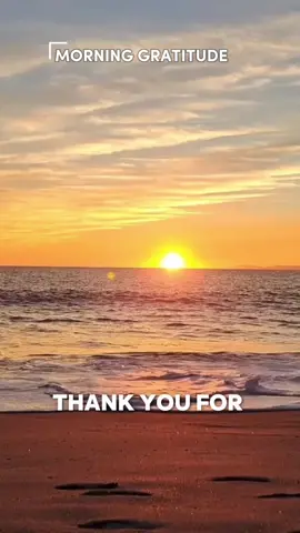 Good morning gratitude! Sending positive morning vibes to you with this beautiful morning message.  #relatable #life #motivation #positive #positivevibes #goodmorning #gratitude  