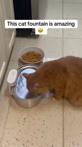 Cats fountains are proven to help your cat drink more water because cats are naturally attracted to flowing water and some cats will only drink if it is flowing. Your cat may be one of those so dont wait and click the link and help them out! 😻