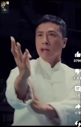 Ip men 4 power🥳🥳#donnieyen #好萊塢巨星 #甄子丹 #甄子丹经典武打影视 