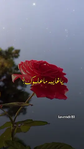 #عبدالله_ال_فروان  #محمد_بن_فطيس #صمت_الغياب #في_غيابك_لك_محبه_ولك_شوق_ووونين #شعر #شيلات #ترند #اكسبلور_explore #تصميم_فيديوهات🎶🎤🎬 #virał #تصويري #lavendr81 #fyp #CapCut 