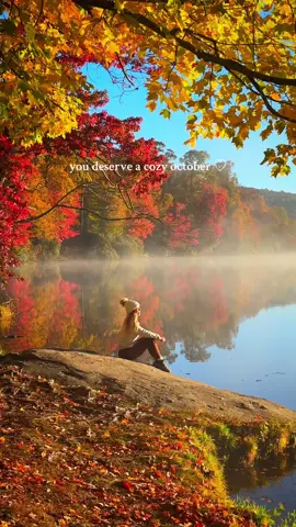 you deserve a cozy october🖤🍂🎃