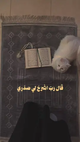 اكتب شئ توجرا عليه♥️#سوره_طه  تلاوه هادئه بنبره جميله وخاشعه #قال_ربي_اشرح_لي_صدرى_ويسر_لي_أمري  #صلي_علي_النبي_محمد_صلي_الله_عليه_وسلم #اسلام_صبحي #صلي_علي_النبي_محمد_صلي_الله_عليه_وسلم #ماهرالمعيقلي #f #قال_ربي_اشرح_لي_صدرى_ويسر_لي_أمري #قال_ربي_اشرح_لي_صدرى_بصوت_عبدالرحمن_مسعد #عبدالرحمن_مسعد #تلاوه_خاشعه #تلاوه_جميلة  