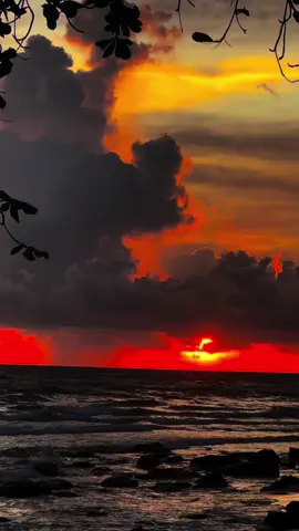 “𝙲𝚑ú𝚗𝚐 𝚝𝚊 𝚌ứ để 𝚖ọ𝚒 𝚌𝚑𝚞𝚢ệ𝚗 𝚍𝚒ễ𝚗 𝚛𝚊 𝚝𝚑𝚎𝚘 𝚝ự 𝚗𝚑𝚒ê𝚗. ĐỪ𝙽𝙶 𝚃Ì𝙼 ..!  𝙱ở𝚒 𝚌á𝚒 𝚐ì đế𝚗 𝚜ẽ đế𝚗. ĐỪ𝙽𝙶 𝙲𝙷Ờ..!  𝙱ở𝚒 𝚗𝚐ườ𝚒 𝚌ầ𝚗 ở 𝚕ạ𝚒 𝚜ẽ ở 𝚕ạ𝚒 𝚝𝚑ô𝚒.”💔#buon_tam_trang #foryou #tamtrangbuon 