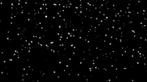 Snow With Black Background And | Green Screen #overlay #snow #backgrounds #greenscreen