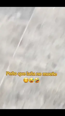 Perrito ñajañaja #broma #humor #risas 