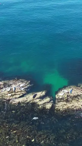This summer, my drone became my favourite (and many times my only)  travel companion! 😅 So here’s a little ode to summer from the sky… Until next time ✨ #viral_video #fyp #explore #Summer #drone #droneshots #anodetosummer 