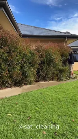Satisfying Gardening Work 🤩🍀 #garden #gardening #satisfying