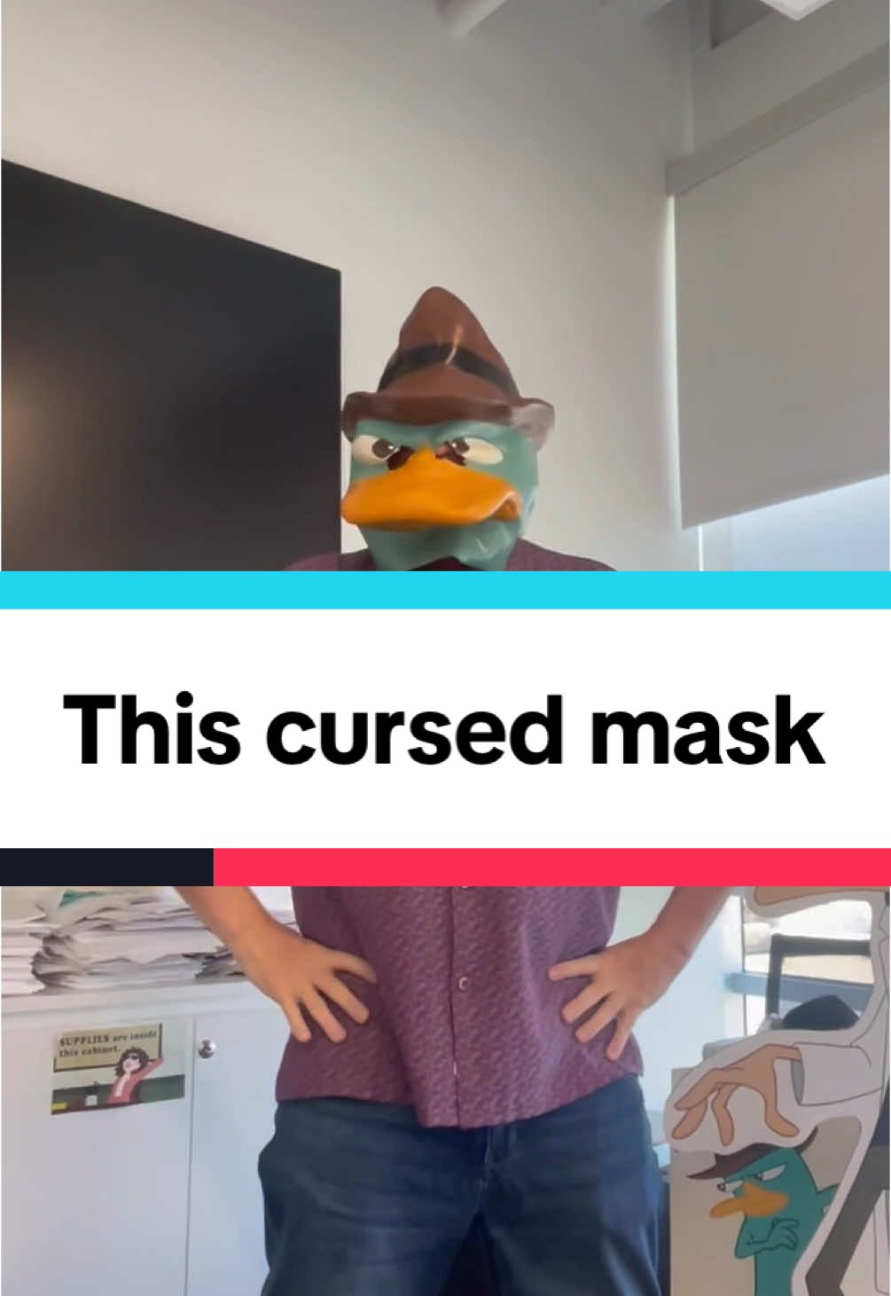 Someone brought in this cursed #PerryThePlatypus mask.  And by ##cursed, of course I mean. ##curseyouperrytheplatypus!##Doofenshmirtz##PhineasAndFerb##writersroom##Disney