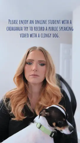 This was 25 minutes in the making. I love him and i can never do my work without him in my lap. 