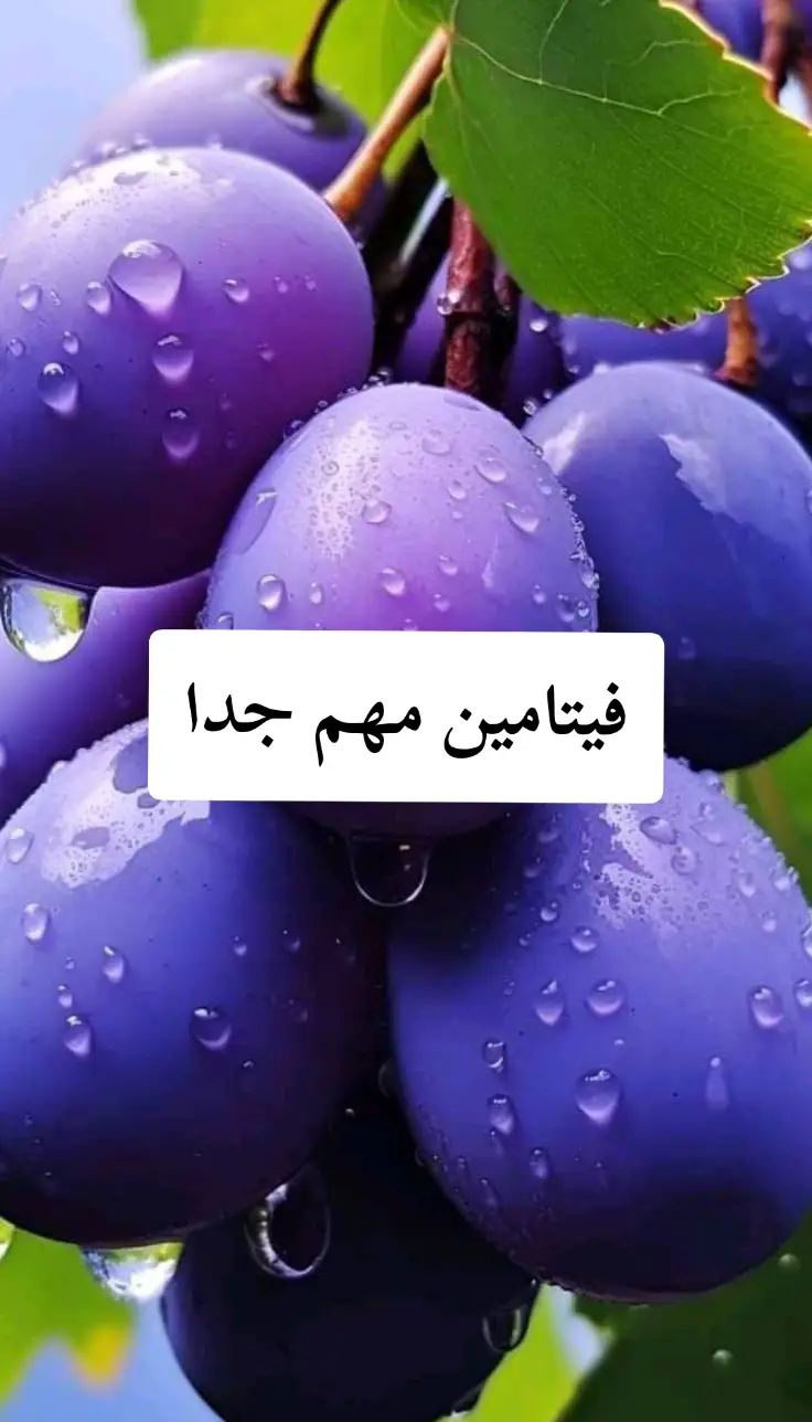 فيتامين مهم جدا #الطاقة #معلومات #صلوا_على_رسول_الله #tik_tok #الشعب_الصيني_ماله_حل😂😂 #fyp #اكسبلور #طبيب_تيك_توك 