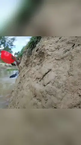 Amazing Boy Catching Fish In Mud Hole #fish_video #fish #fishing 