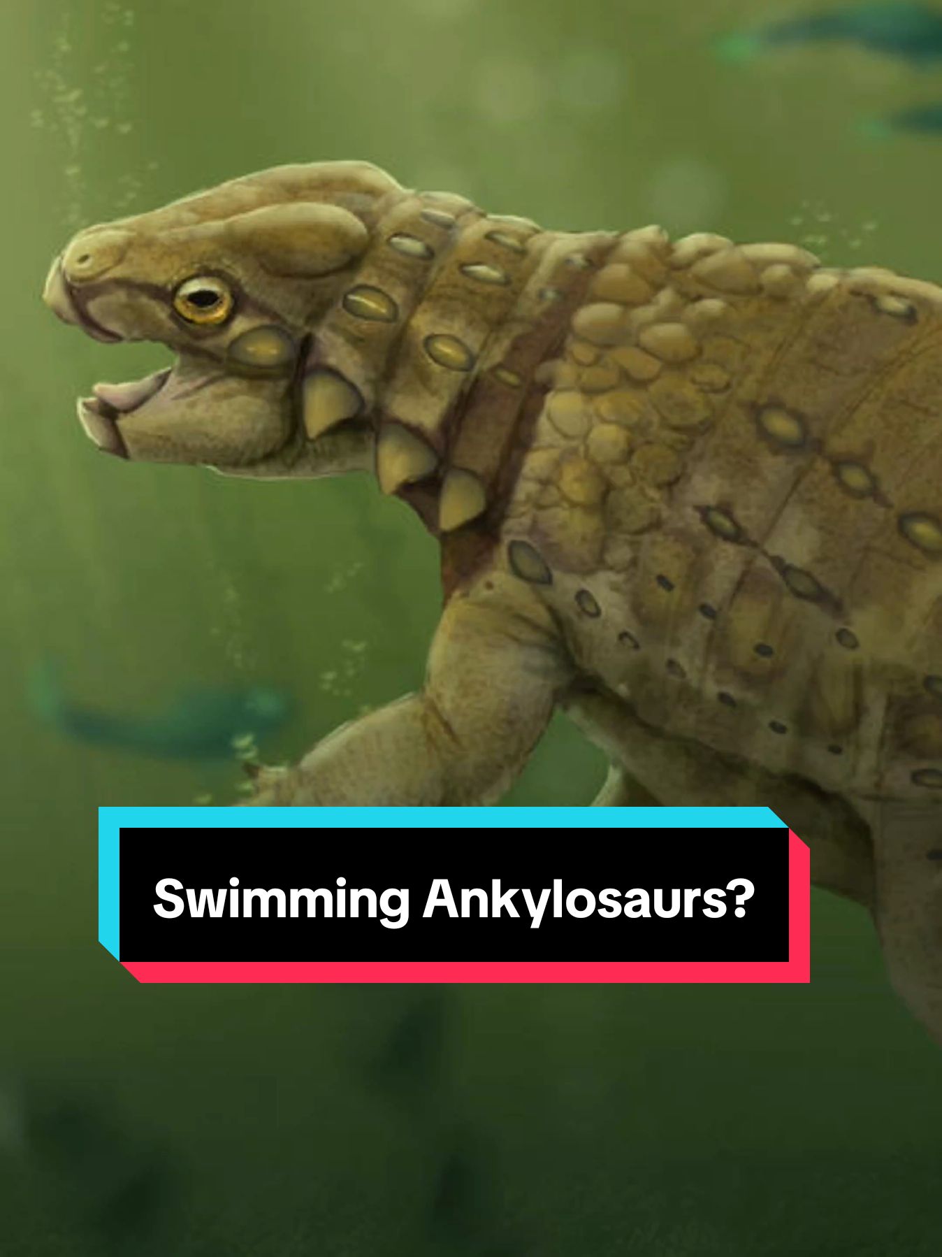 Swimming Ankylosaurs? #fyp #foryou #foryoupage #fypシ #LearnOnTikTok #EduTok #DidYouKnow #xyzbca #dinosaur #dinosaurs #ankylosaurus #aquatic 