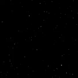 محققه جنائيه✨. #ابا_الفضل_العباس #ابا_الفضل_العباس #ياعلي #ياحسين💔 