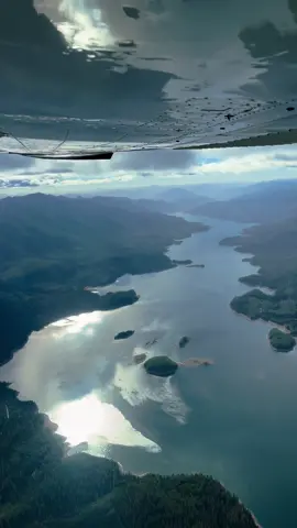 let go… #naturecore #fypシ 