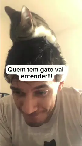 Aí também é assim com seu gato.. 🤷🏻‍♂️ Comente aqui você já levou um arranhão seu gato?😹 #gato #mordida #arranhao #gatos #comedia #humor #miau #gatosengracado #amogatoss #maedegato #paidegato #frajolito #pov 
