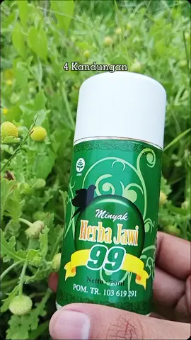 join live setiap hari jam 14.00-16.00 & 19.00-21.00 #alatbekam #alatbekamhijamah #tiktokseller #tiktoksellershop #amanah #bisabayarditempat #tokoamanah #premiumquality #tokoalatbekam #satuan #ecer 