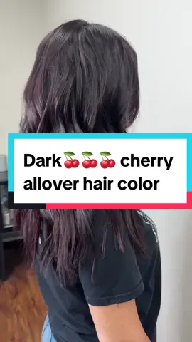 Dark cherry all over hair color. She had a previous balayage and we just did put an allover color over it. #darkcherryhair #redhaircolor #brunettehaircolor 