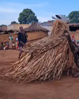 🤣🤣🤣 afrika tonggoh #senireak #senibenjang #senikudarenggong #afrikatimur #afrikatonggoh