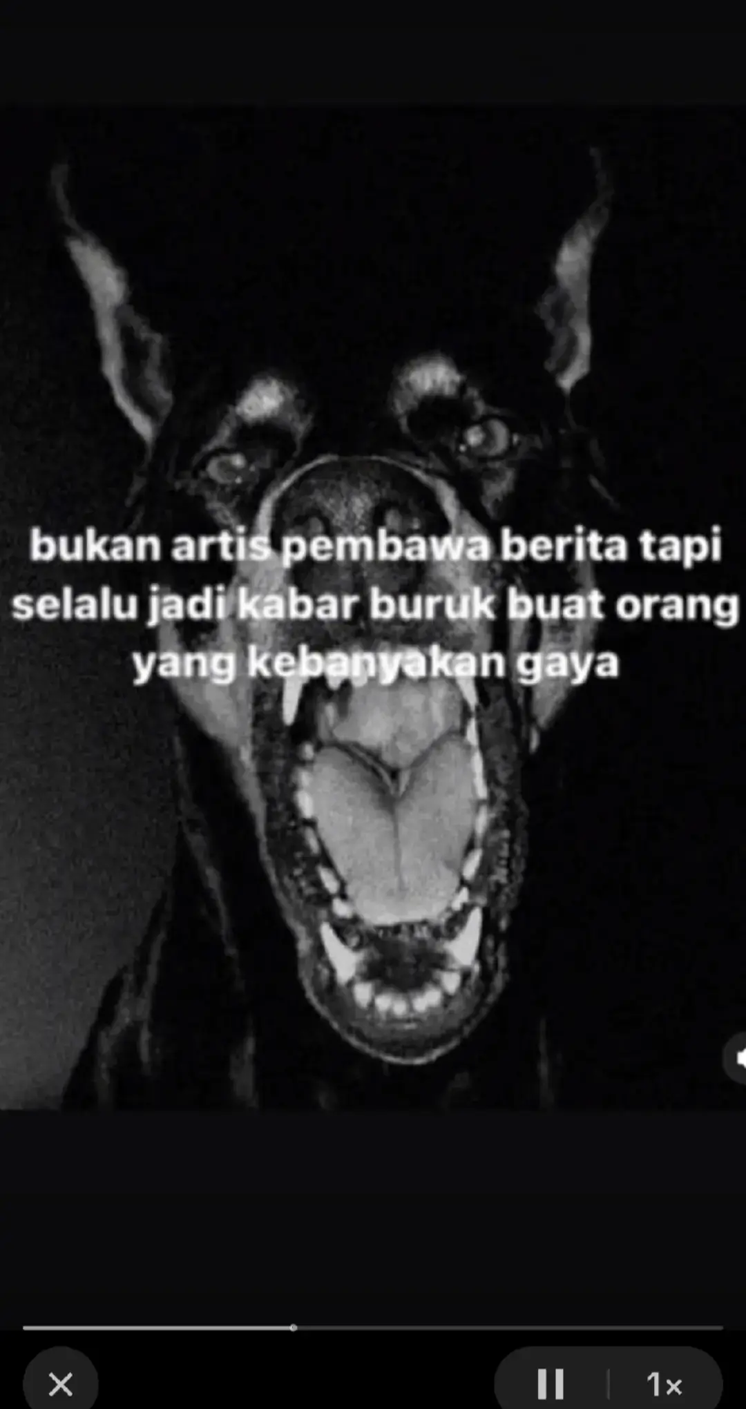 #orangsenang #langenboys🏴‍☠️ #fypppp 