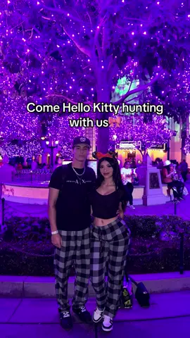 i only ended up buying 16 hello kitty items bc i basically already had everything else😭😭