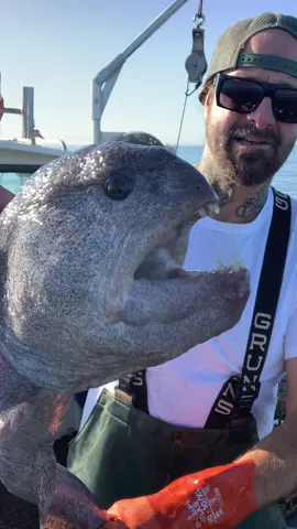 Double Barnacle Chronicles &  Wolf Eel Fish #crab #bigfish #deepseafishing #rockhold #friendliestcatch #eel #asmr 
