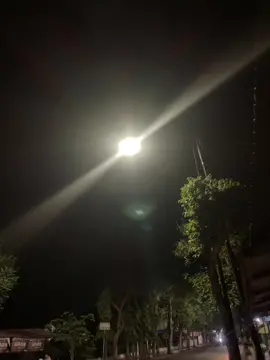 Nyapo asing?? #foryou #liriklagu #liriklagujawa #bubrah #fyp #viral #trendingvideo 