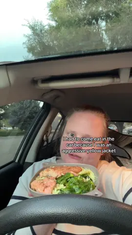 Success. This turned out amazing! #carlife #carcamping #camping #coleman #nomad #vanlife #Vlog #dinner #campingmeals 