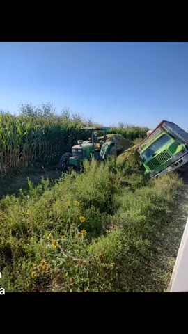 #kuiht #relax #viral #videosvirales #