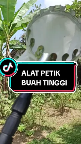 Tongkat pemetik buah ini sangat berguna untuk keperluan berkebun anda. bisa digunakan untuk memetik buah yang tinggi, bisa untuk memotong dahan yang tinggi, bisa untuk mengait pohon tinggi dll. Bahan stainless sehingga tidak berkarat. sudah teleskopik sehingga bisa dipanjang pendekkan.  #tongkatpetikbuah #tongkatteleskopik #alatpetikbuah #alatpemetikbuahtinggi 