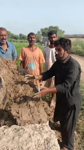 #sapshal#charaheeman#videoviral #foryou #standwithkashmir #