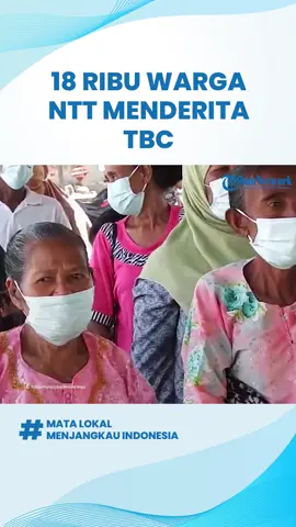 18 Ribu Warga NTT Menderita Penyakit TBC, Setiap Kabupaten Ada Kasus Download aplikasi berita TribunX di Play Store atau App Store untuk dapatkan pengalaman baru TRIBUNFLORES.COM, MAUMERE - Sebanyak 18 ribu warga di Provinsi Nusa Tenggara Timur (NTT) menderita Tuberkulosis atau TBC hingga September 2024.  Jumlah itu diketahui dari hasil skrining dinas kesehatan (Dinkes) NTT. 