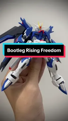 Xingfeng Rising freedom Gundam#gundam #modelkit #hobby #posingfigures #gundamseed #gundaseedfreedom 