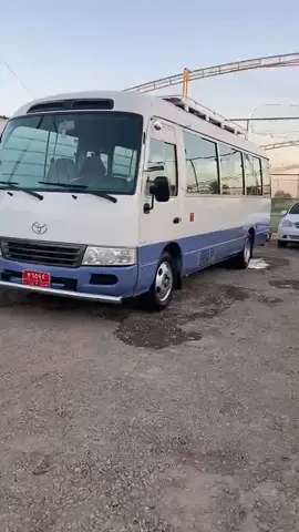 #جنبازي_قافل_عمي_ #السعيدي💪🏽 #شعب_الصيني_ماله_حل😂😂 @علي كريم 