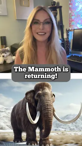 The Mammoth is coming back, so is the Dodo and also The Thylacine (Tasmanian Tiger) This is TRUE, it’s absolutely happening. But most excitingly we can now stop the extinction of The Northern White Rhino which has only 2 remaining functionally extinct females left at Ol’ Pejeta in Africa. Colossal Biosciences and Bio Rescue have announced that they have 30 viable Northern White foetuses and a baby calf  will be here by 2025. But how is this possible? By using stored sperm and eggs they can create the foetus and can edit the DNA in their labs using dna from museum exhibits to create biodiversity, so the calves will be healthy and unrelated. The Dodo and the Thylacine are being rewilded back after recreation to try and put right some of the damage us humans have done. The Mammoth is a very interesting rewilding project to the Arctic Tundra as it’s believed this new hybrid which has been modified to exist in our warmer environment can help slow down global warming, more to come on that later on in another video. Animal Watch and I have joined forces with Colossal to bring you all the de-extinction news as it happens. Many species on the brink of extinction can be saved now. There will be an Animal Watch episode tonight on the Return of the Northern White Rhino.  . . . #deextinction #extinction #mammoth #thylacine #dodo #northernwhiterhino #olpejeta #collosalbiosciences #collosal #dnaediting #geneediting #savetheplanet #animalwatch #wildlife #conservation #rewild #rewilding 