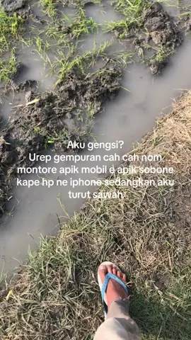 Aku gengsi?#xyzbca #bahansw #anakpetani🌾 #petanimuda #petaniindonesia🇮🇩🇮🇩🇮🇩🌿🌿 