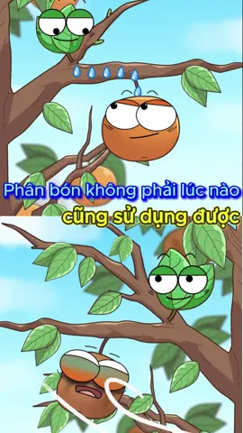 Phải sử dụng phân bón hợp lí nhá #hoathinh #vanvatbietnoi #hoathinhvasuckhoe #kienthucthuvi 