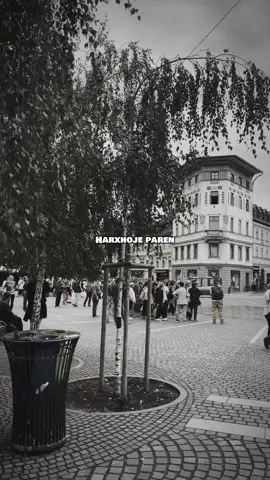Artiola Toska - Harxhoje paren  #nostalgjiku #kengetevjetra #shqip #nostalgji #lyrics #fypシ゚viral #foryoupage 