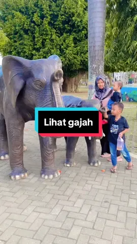 Adik takut lihat gajah#fyp #viraltiktok 